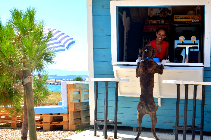 Urlaub mit Hund Urlaub mit Hund