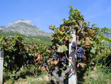Insel Brač