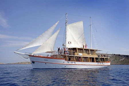 MS Dalmatino