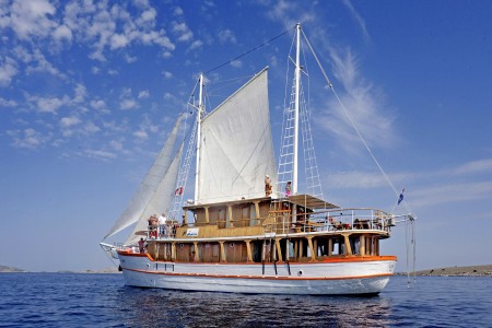 MS Dalmatino