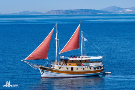 MS Jerkić