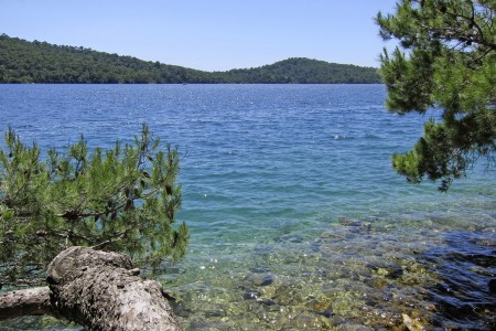 Insel Mljet