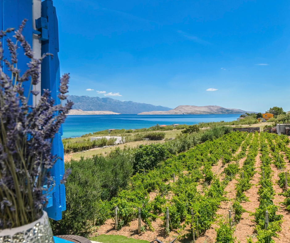 Inselurlaub in Kroatien mit dem Auto: Čiovo, Krk und Pag entdecken