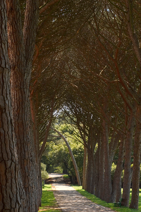 Brijuni-Nationalpark