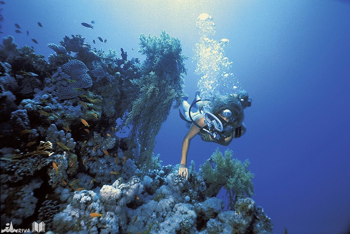 Kindertauchkurse – gesamte Region Kvarner