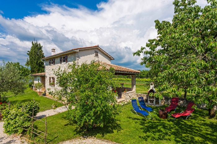 Feedback Haus Galant