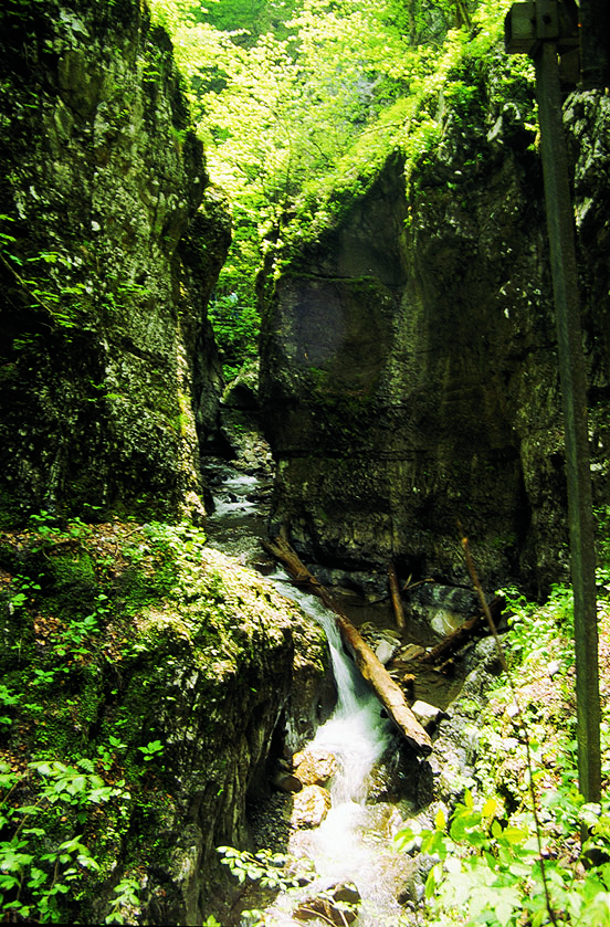 Gorski Kotar - Auf Winnetous Spuren