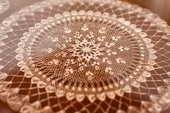 Agave-Spitze aus Hvar