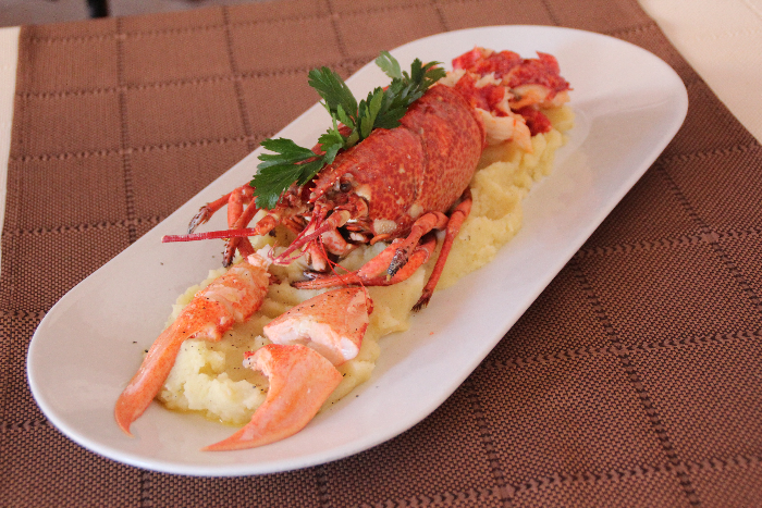 Konoba Čok in Novigrad