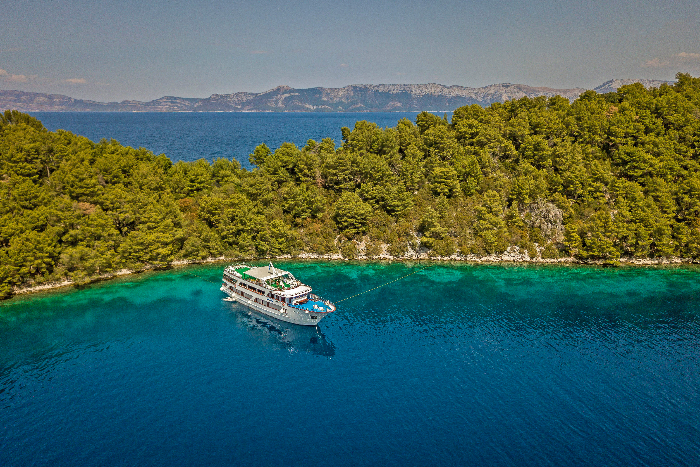 Feedback MY Mystic und App. Katja